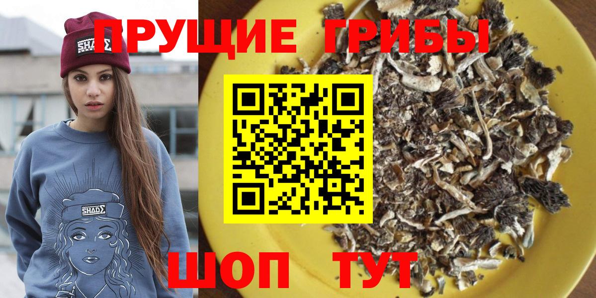 Горячий Ключ  Галлюциногенные грибы Cubensis  Вход с VPN 